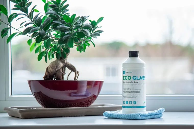 Produse de curățenie eco-friendly pe un pervaz, lângă o plantă